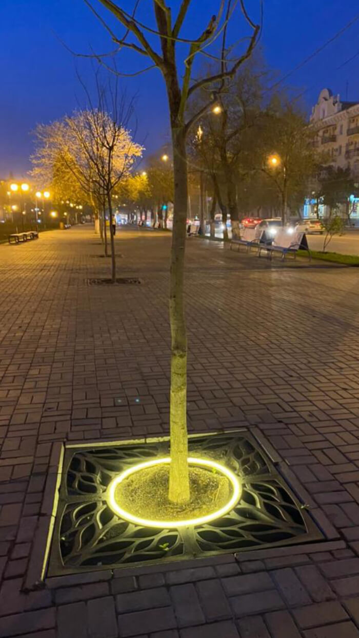 Приствольная решетка для дерева ZKING CRUST 1.2х1.2м Черная в Кургане фото